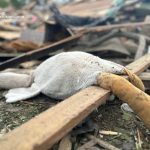 На Житомирщині загинуло 3 дитини внаслідок ракетної атаки